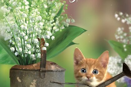 Charter Motorboat Cap camarat 5501 Murree