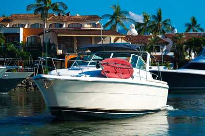 Miete Motorboot Tiara Tiara Puerto Vallarta