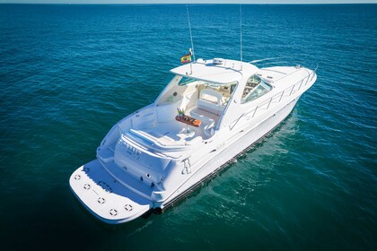 Alquiler Lancha Sea Ray 540 Sundancer Marbella