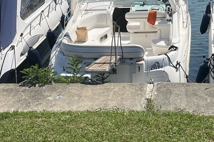 Noleggio Barca a motore Sealine S37 Ameglia