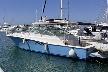Aluguel Lancha Viking 43 Open Roses