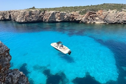 Hire Motorboat Bayliner Vr6 Mahón