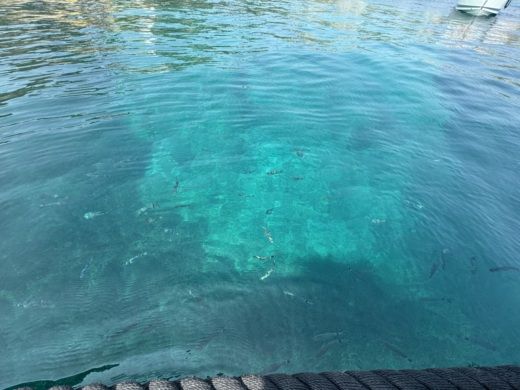 Majorque Without license Terhi 445 alt tag text