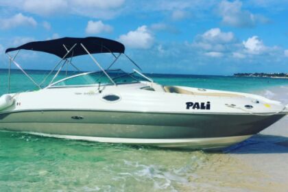 Alquiler Lancha Sea Ray Sundeck 7m Cozumel