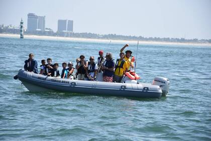 Aluguel Semi Rígido Marshall M100 Tróia Peninsula