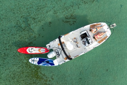 Alquiler Lancha Beneteau FLYER 7 ELEGANCE Menorca
