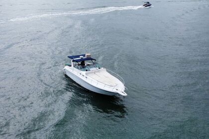 Charter Motorboat Sea Ray 175 Sport Nuevo Vallarta