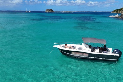Charter Motorboat Kelt White shark Saint Martin