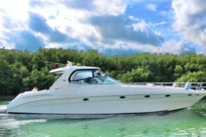 Charter Motorboat Sea Ray 60 Cancún