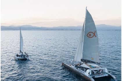 Alquiler Catamarán . YANMAR Palma de Mallorca