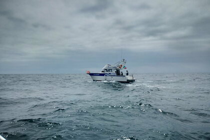 Miete Motorboot RODMAN 1100 Cascais