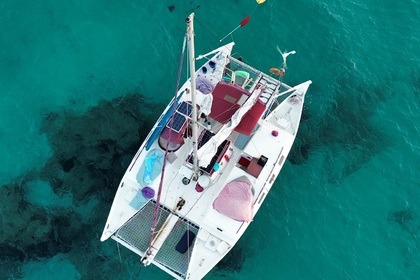 Location Catamaran Wharram Tangaroa 37 Ibiza