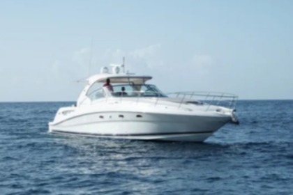 Alquiler Lancha Sea Ray 42 La Romana