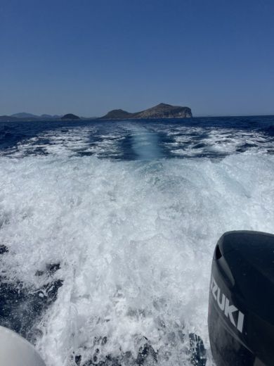 Portisco Without license Kardis Fox alt tag text