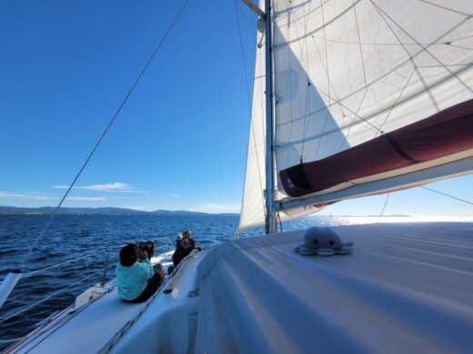 Йер Catamaran Catana 411 alt tag text