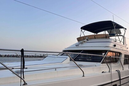 Charter Motorboat PRINCESS 385 FLY Chania