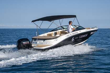Charter Motorboat Sea Ray 190 Spx Rovinj