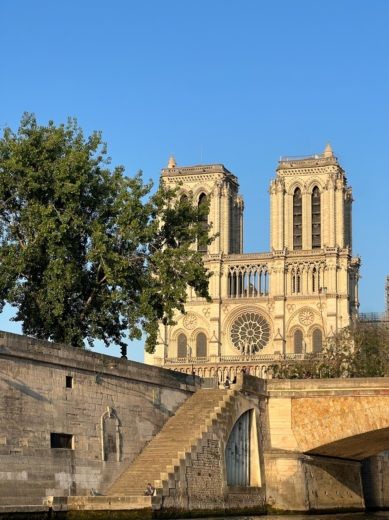 Paryż Motorboat PONTOON I alt tag text