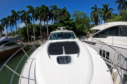 Charter Motorboat Sea Ray Sundancer 500 Hotel Zone