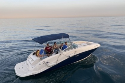 Hire Motorboat Sea Ray 260 SD Marbella
