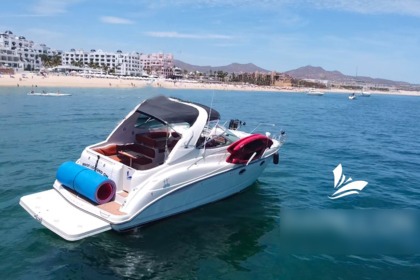 Rental Motorboat Maxum 38 ft SCR Cabo San Lucas