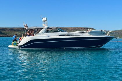 Charter Motorboat Sea Ray sundancer La Paz