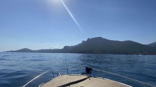 Мандельё-ла-Напуль Motorboat Pacific Craft Sun cruiser 630 alt tag text