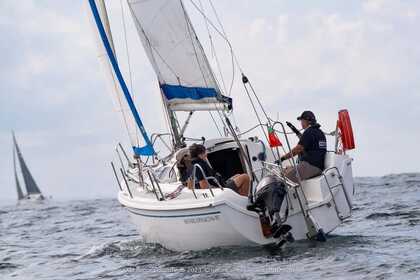 Noleggio Barca a vela SASANKA VIVA 700 Oporto