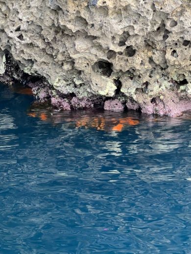 Taormina Motorboat Aquabat infinity luxury alt tag text