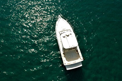 Charter Motorboat Lever 30 Porto Ercole
