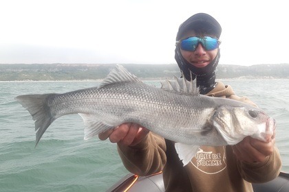 Noleggio Gommone Zodiac Srmn 730 Le Havre