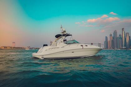 Hire Motor yacht Sea Ray Cruiser 40FT Dubai Marina