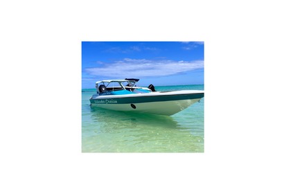 Rental Motorboat Cobra Cobra26 Mahebourg