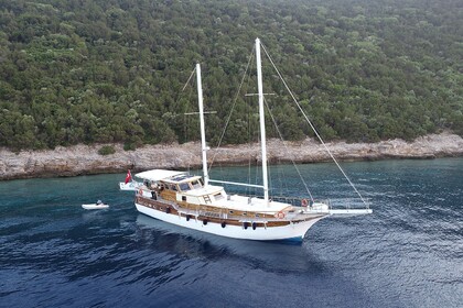 Noleggio Caicco Standart Plus Blue Cruise ( behnnn ) Bodrum