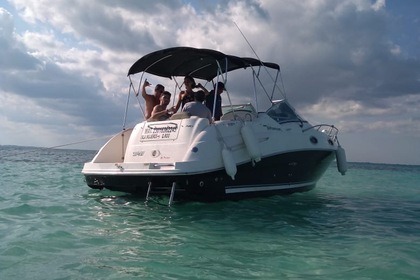 Noleggio Barca a motore sundancer 24 Cancún
