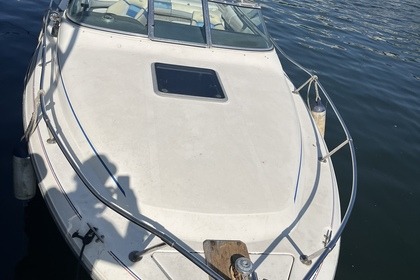 Location Bateau à moteur Sea Ray 240 Sundeck Boulogne-Billancourt