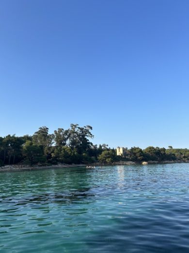 Cannes Motorboat Quicksilver Activ 675 Open alt tag text