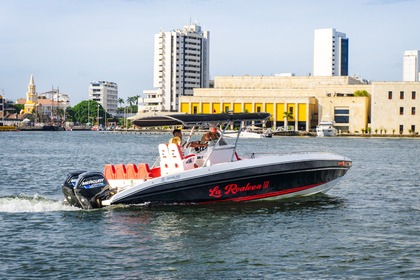 Charter Motorboat Singlar 290 Cartagena