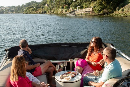 Rental Motorboat Sun Tracker Party Barge 22 Dlx Porto