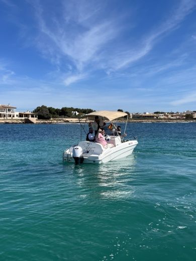 Эс Тренк Without license Karnic Am 490 alt tag text