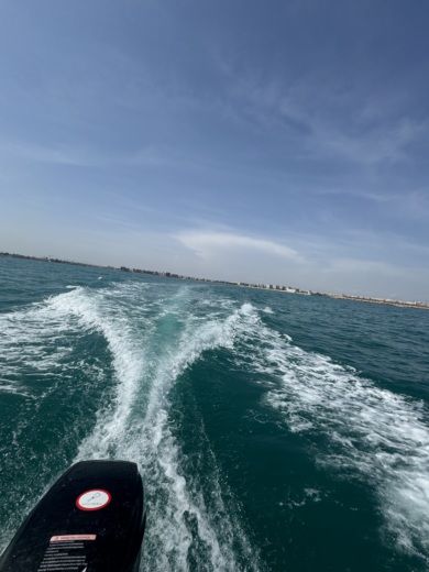 Торревьеха Without license Marinello REMUS 525 alt tag text