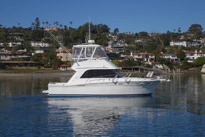 Rental Motorboat Riviera 33 Flybrige Saint-Tropez