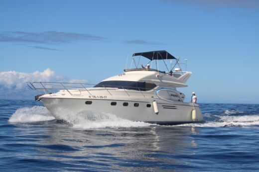 Motorboat frances princess boat plan