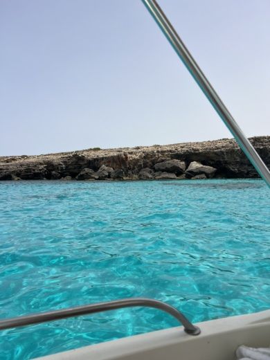 Менорка Without license Remus 450 alt tag text