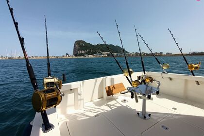 Charter Motorboat Rodman Rodman 1170 Sotogrande