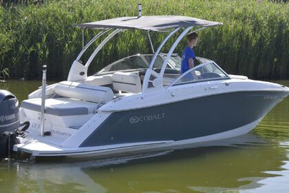 Hire Motorboat Cobalt 23 SC Andratx