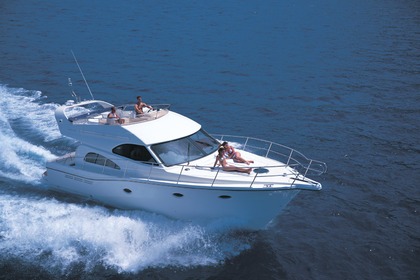 Charter Motorboat Rodman R41 Port d'Andratx