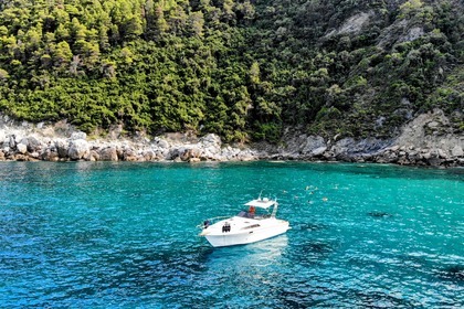 Charter Motorboat Bayliner Conquest 39 Skopelos