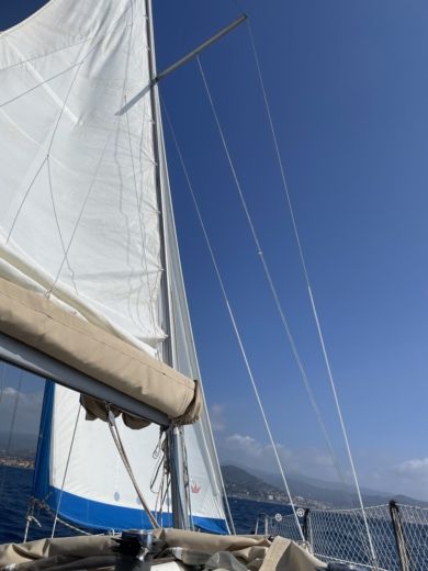 Imperia Sailboat Jeanneau - Sun Odyssey 29.2 alt tag text