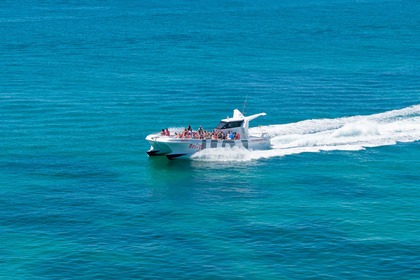 Charter Catamaran Catamarã Custom made 14 Albufeira